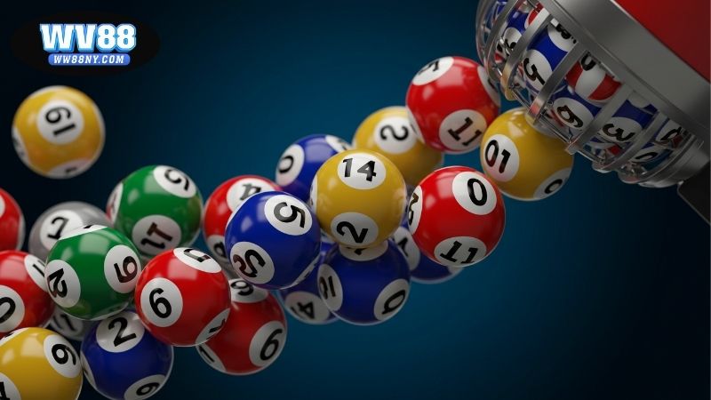 Nuôi lô bạch thủ khung 2 ngày – Chiến lược tinh gọn, hiệu quả 