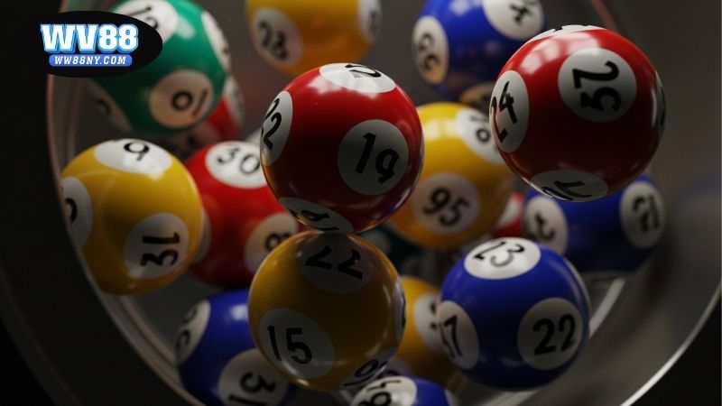 Nuôi song thủ lô khung 5 ngày – Chiến thuật bền vững hiệu quả 3 Nuôi song thủ lô khung 5 ngày – Chiến thuật bền vững hiệu quả